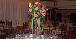 reception-elegant-espanol